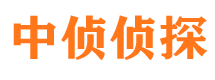 良庆市侦探调查公司